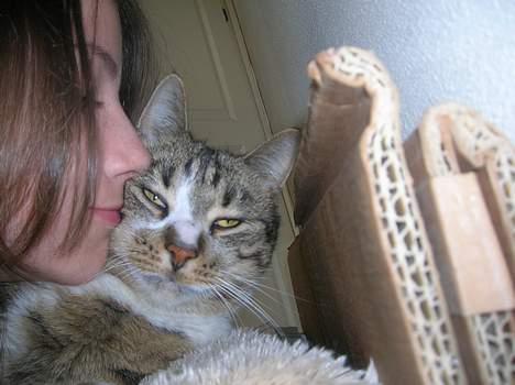 Blanding af racer Elkjær - NYT! mig som lige kysser elle billede 8