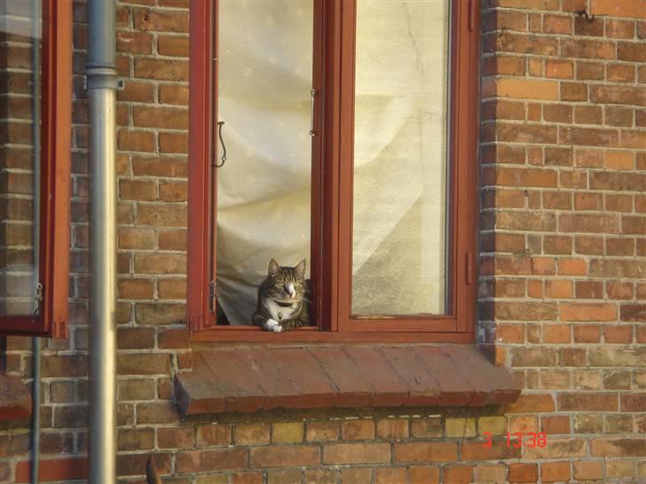 Huskat mulle billede 14