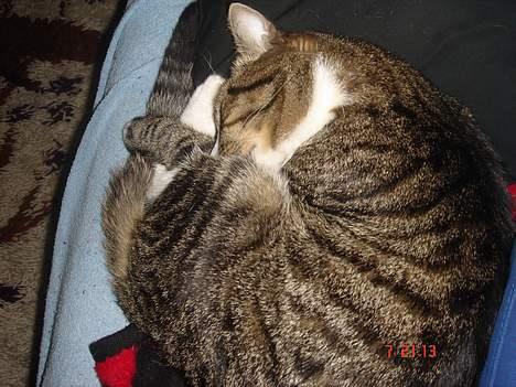 Huskat mulle billede 15