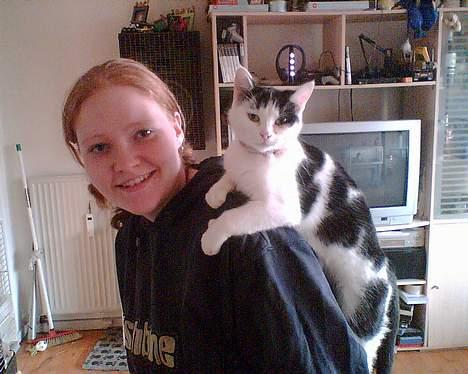 Huskat tulle billede 2