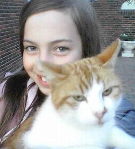 Blanding af racer Mille billede 1