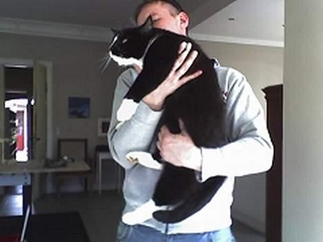 Huskat sorte billede 13