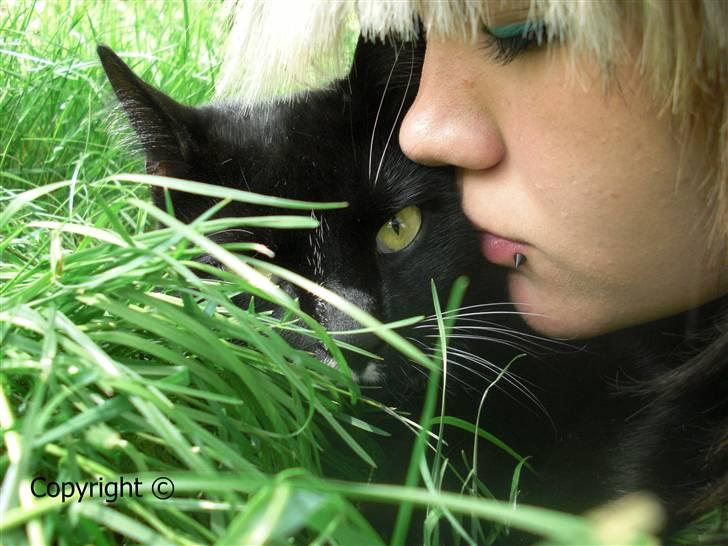 Huskat Lyn - Lyn og mig. billede 7