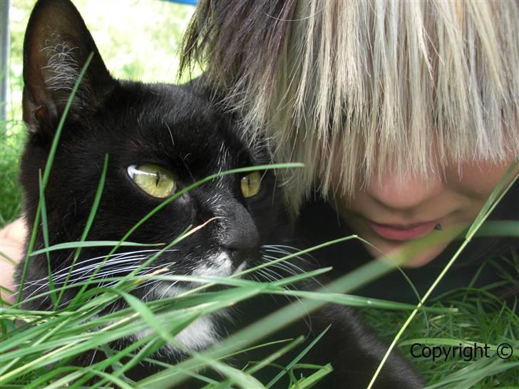 Huskat Lyn - Lyn og mig. billede 19