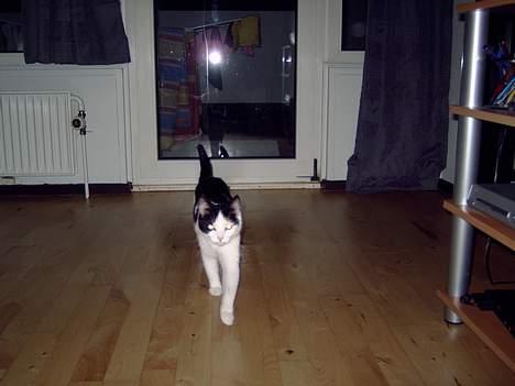 Huskat My billede 13