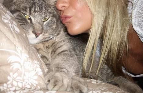 Huskat Mille billede 4