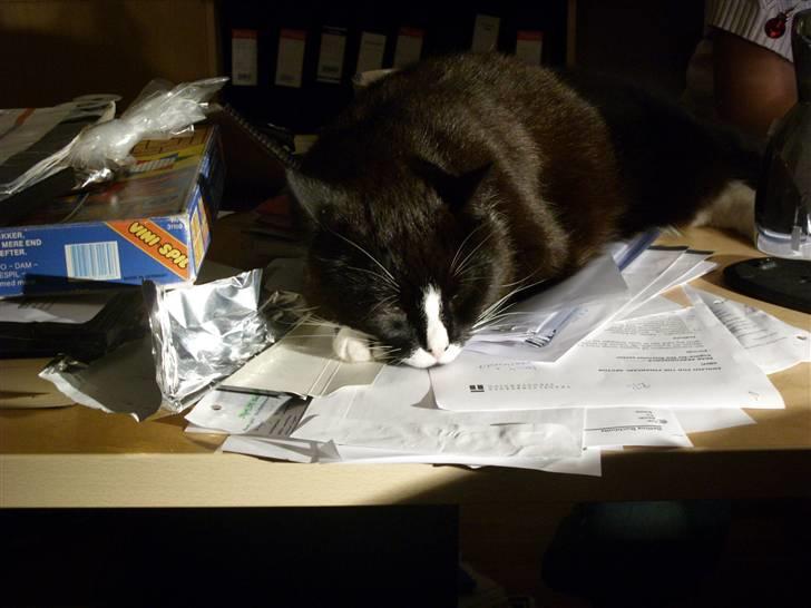 Blanding af racer Allan - Det blir sq ik bedre det her.... billede 19