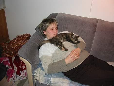 Blanding af racer Pjuske - Man kan ikke ligge på sofaen uden at pjuske kommer og lægger sig sammen med. Her har hun fundet en god plads, sammen med min mor. billede 4