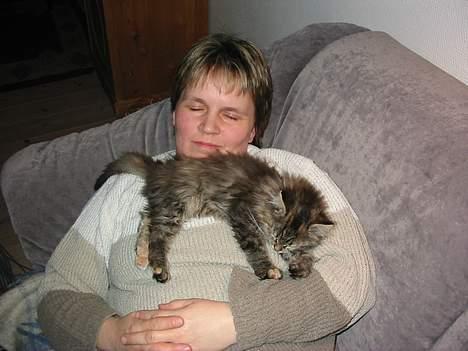 Blanding af racer Pjuske - også her sammen med min mor. på skulderen eller lige under hagen er Pjuskes farvorit sted. billede 5