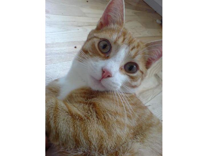 {{currentPhoto.altText}} billede {{currentPhoto.number}}