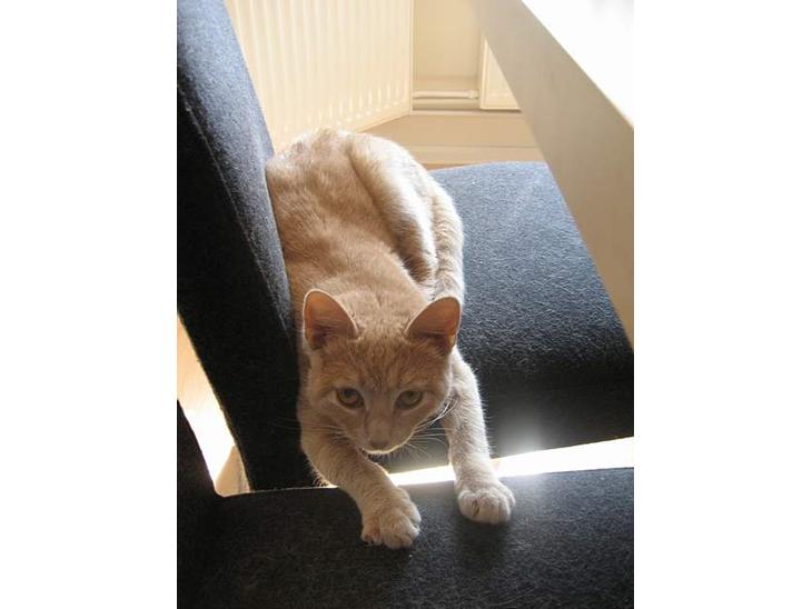 {{currentPhoto.altText}} billede {{currentPhoto.number}}