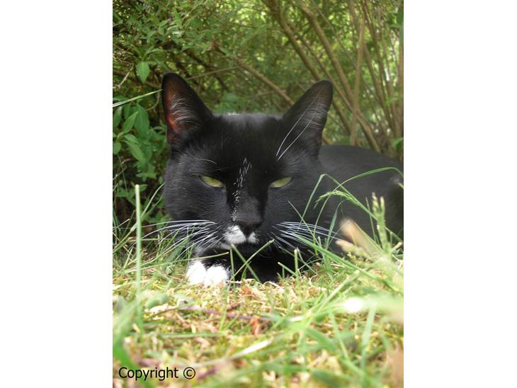 {{currentPhoto.altText}} billede {{currentPhoto.number}}