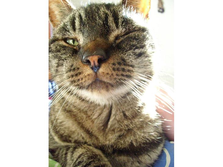 {{currentPhoto.altText}} billede {{currentPhoto.number}}