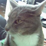 Blanding af racer EmIl