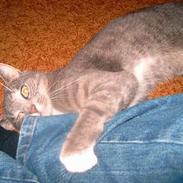 Blanding af racer EmIl