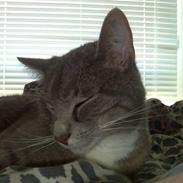 Blanding af racer EmIl