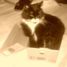 Blanding af racer oliver