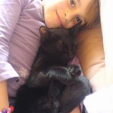 Blanding af racer Mollie