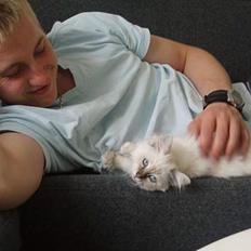 Hellig Birma Pistacie ( Khin-Mya´s)