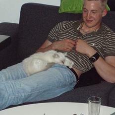 Hellig Birma Pistacie ( Khin-Mya´s)