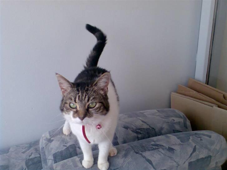 Huskat Freja - Se jeg sover sødt sammen med far billede 16