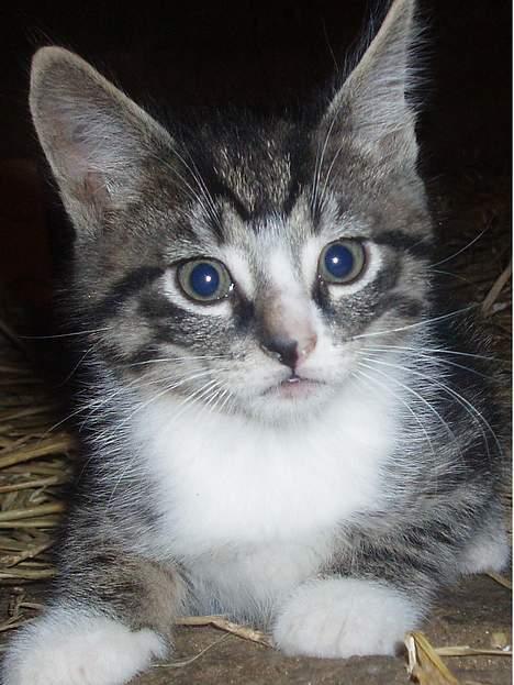 Huskat Cero | Væk :'/ - Jeg savner dig <3 :( billede 1