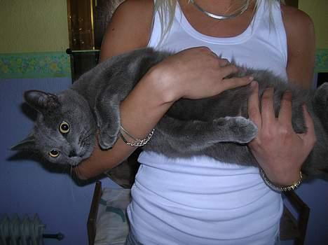 Huskat Frederik  *DØD* - her er den smukke så... billede 1