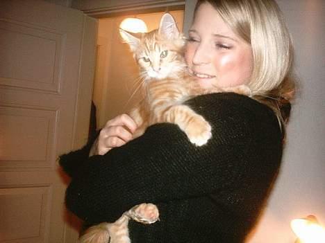 Maine Coon Oskar  - Mig og min snart store Oskar.. billede 11