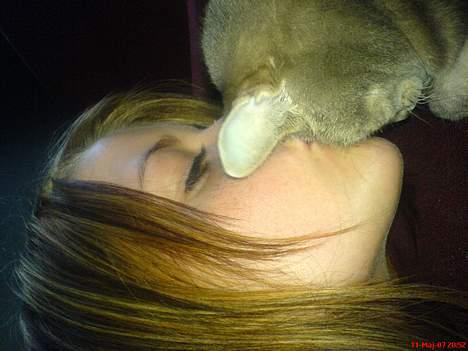 Huskat Nuser billede 3