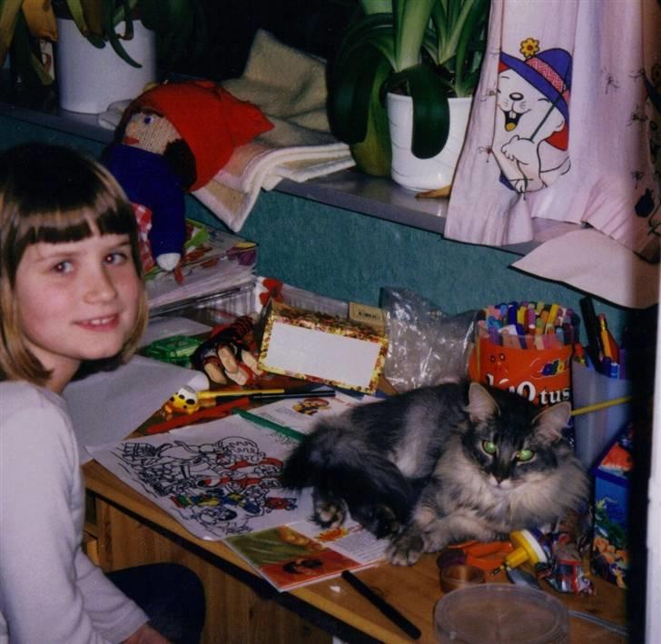 Norsk Skovkat Effi R.I.P  billede 2