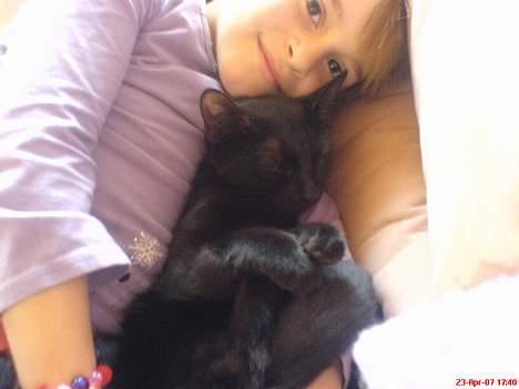 Blanding af racer Mollie billede 3