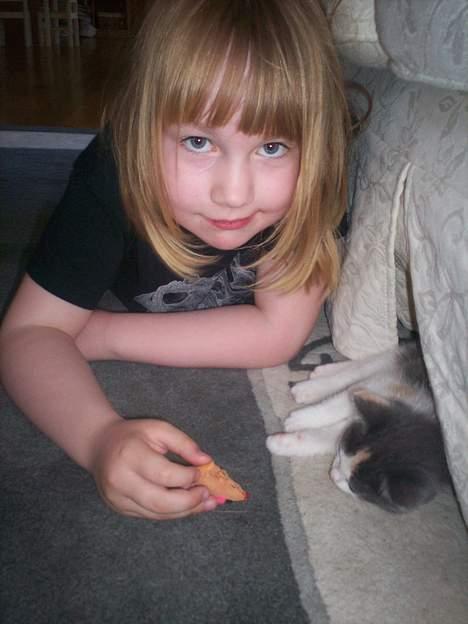 Blanding af racer Freja XD - Lillesøster og Fraja billede 3