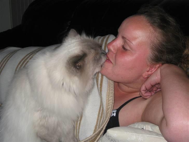 Blanding af racer Gismo - Uhmm mor spiser noget lækkert. billede 9