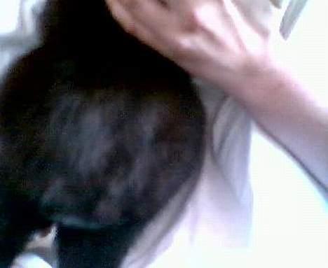 Huskat Wicca - HAR IKKE MERE billede 5