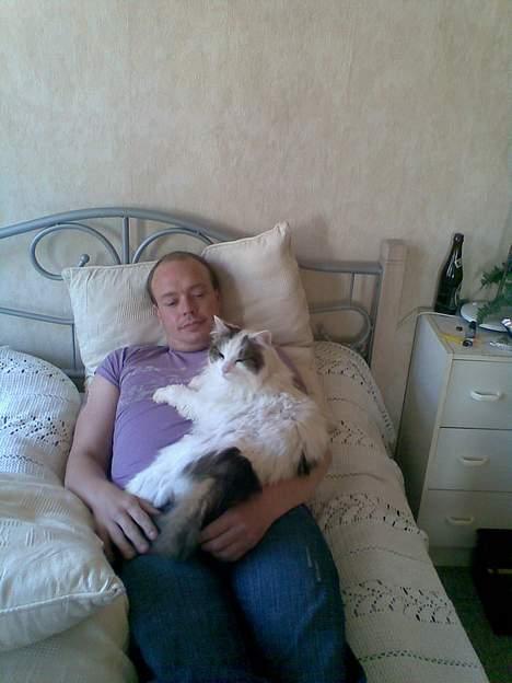 Norsk Skovkat Gismo - Min kæreste og Gismo billede 3