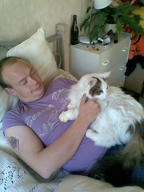 Norsk Skovkat Gismo - Her er Gismo så på vej væk ;) billede 5