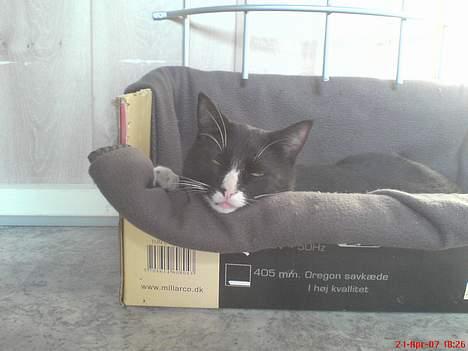 Huskat Fy - Ååh så lad mig da sove i fred billede 7