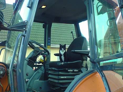 Huskat Fy - Så skal der køres rendegraver billede 11