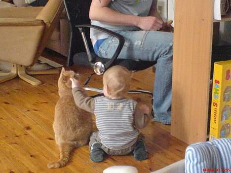 Huskat Anton - Næsten lige store *S* billede 3