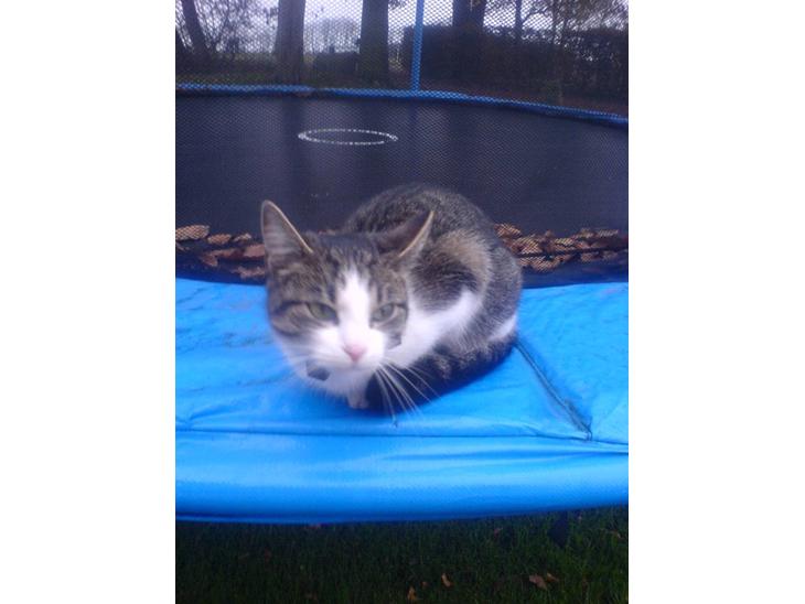 {{currentPhoto.altText}} billede {{currentPhoto.number}}