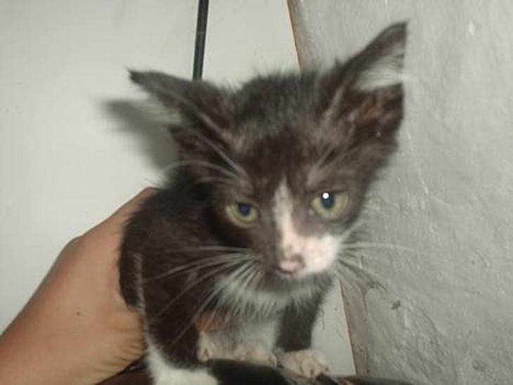 {{currentPhoto.altText}} billede {{currentPhoto.number}}