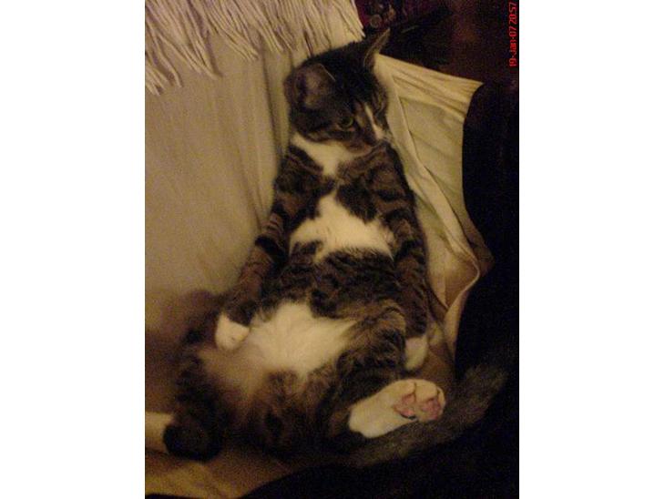 {{currentPhoto.altText}} billede {{currentPhoto.number}}