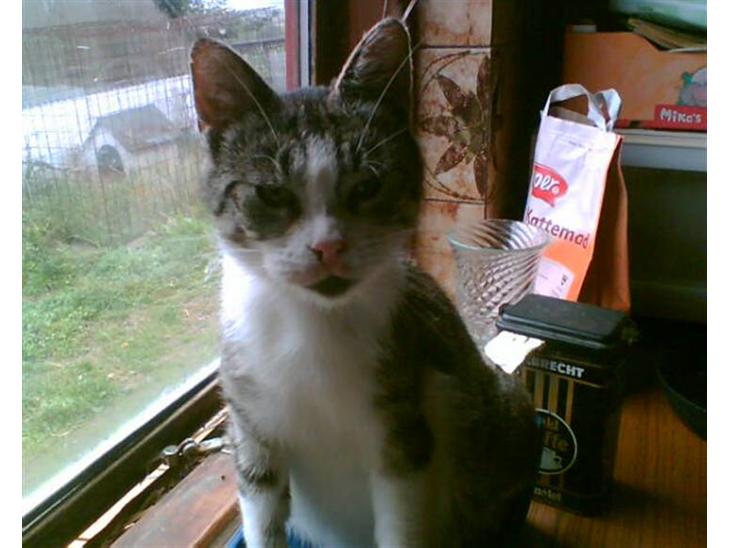 {{currentPhoto.altText}} billede {{currentPhoto.number}}