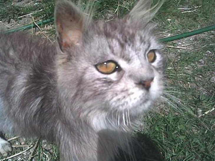 {{currentPhoto.altText}} billede {{currentPhoto.number}}