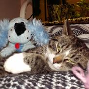 Blanding af racer Mille Mie & Oliver