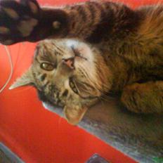 Huskat Ernst R.I.P December 2008