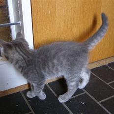 Blanding af racer My