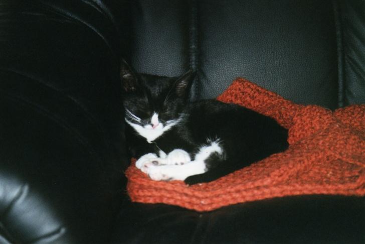 Huskat Fy - Mig som lille billede 15