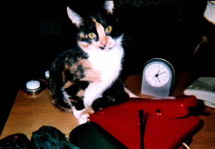 Huskat Mini - Hvad mon klokken er billede 3