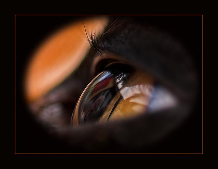 Huskat Mini - Mor sidder lige i øjet billede 8